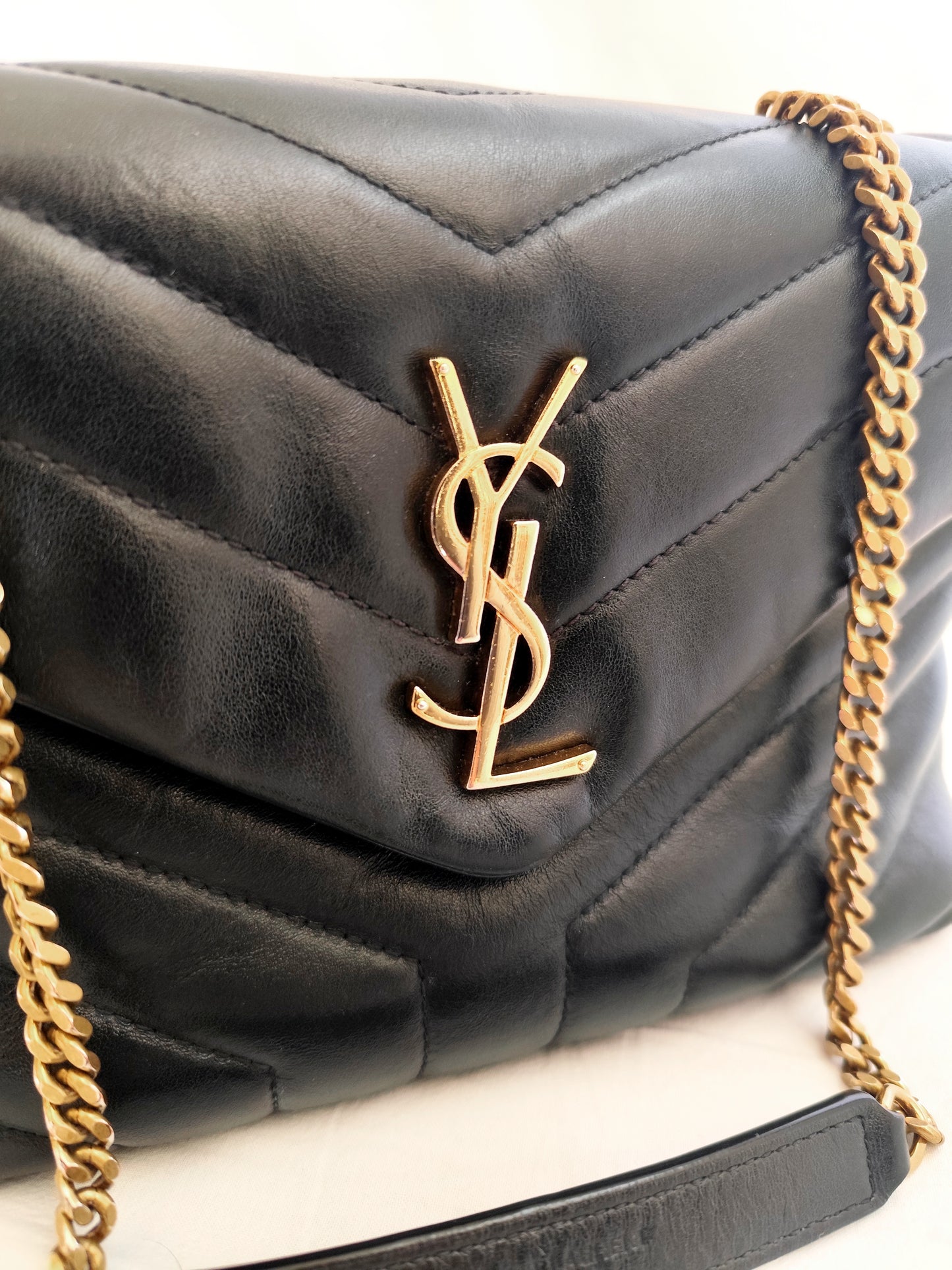 Yves Saint Laurent Loulou media